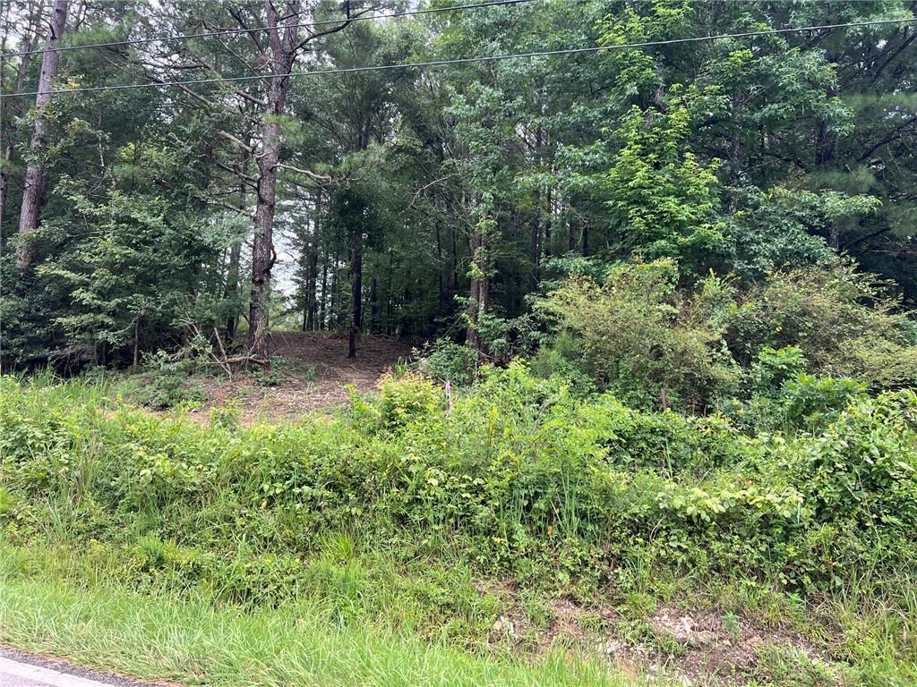 3963 Dabbs Bridge Rd., Acworth, GA 30101