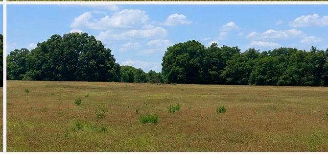 Lot 32 Livingston Rd., Rome, GA 30161