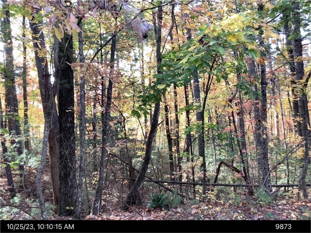 - Andros Ct., Ellijay, GA 30540