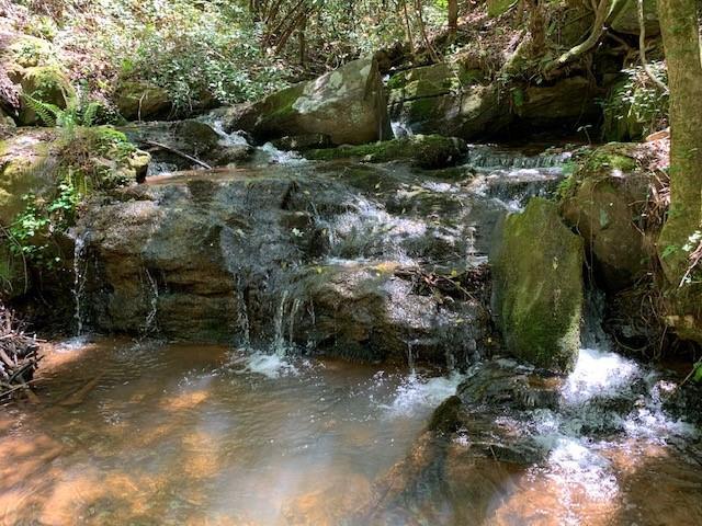 Fireside River Trace West, Dahlonega, GA 30533