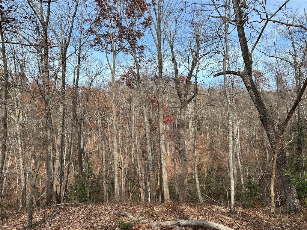 Hwy 105, Baldwin, GA 30511