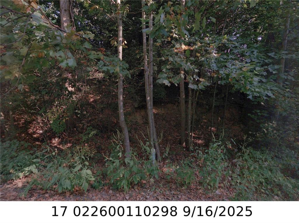 X Newman Pl, Atlanta, GA 30318