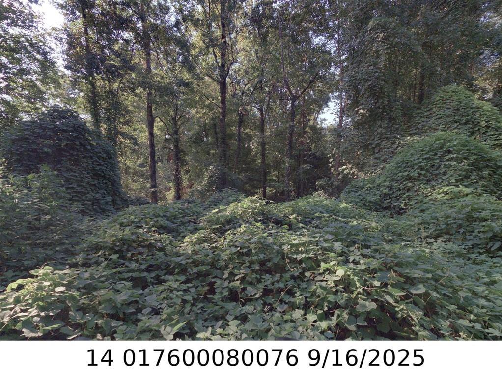 00 Newman Pl., Atlanta, GA 30318