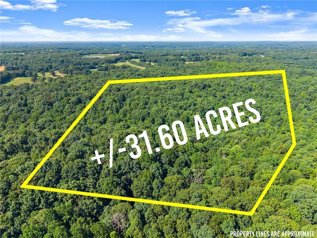 Prospect Rd., Carnesville, GA 30521