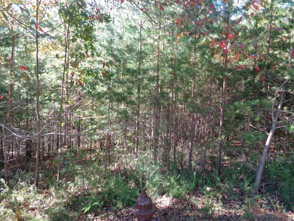 2474 Wedgewood Dr., Big Canoe, GA 30143