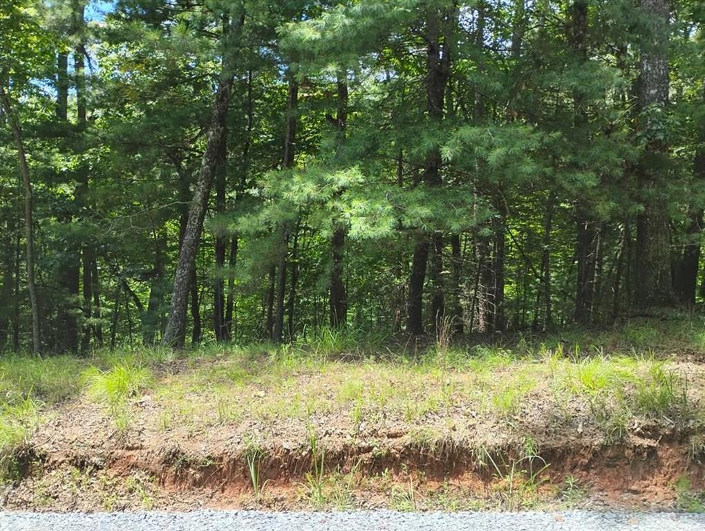Crystal Ln., Ellijay, GA 30540