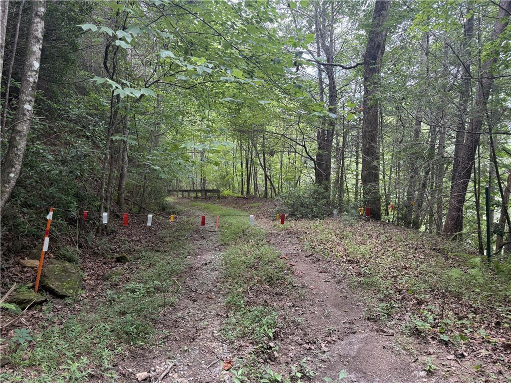 Yahoola Indian Rd., Dahlonega, GA 30533