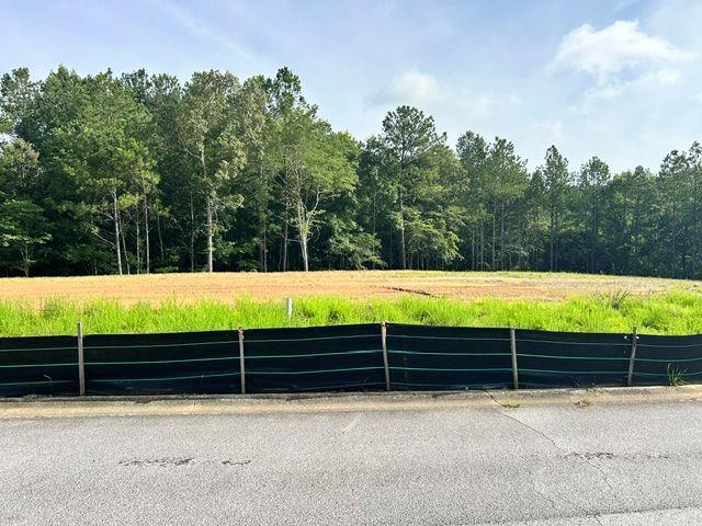 389 Timothy Dr., Dallas, GA 30132
