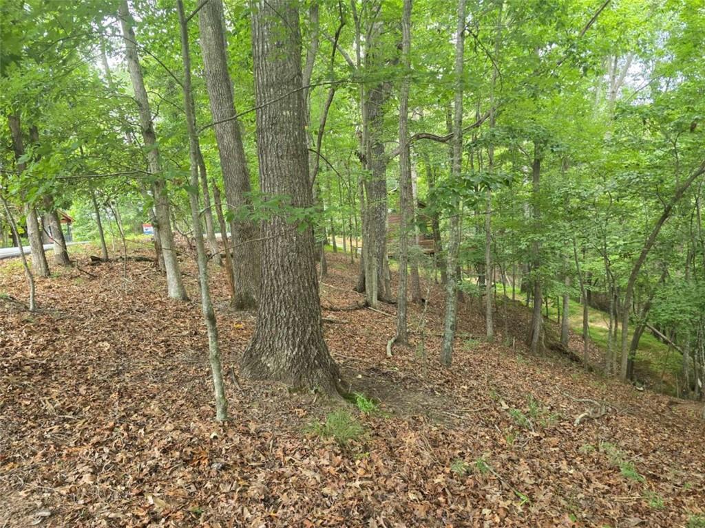 Lot476 Riverview Dr., Ellijay, GA 30540