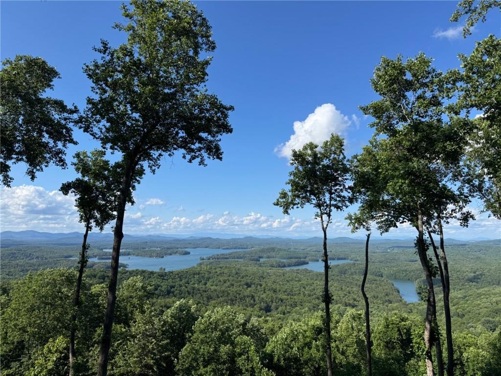 970 Lakeview Dr., Blue Ridge, GA 30513