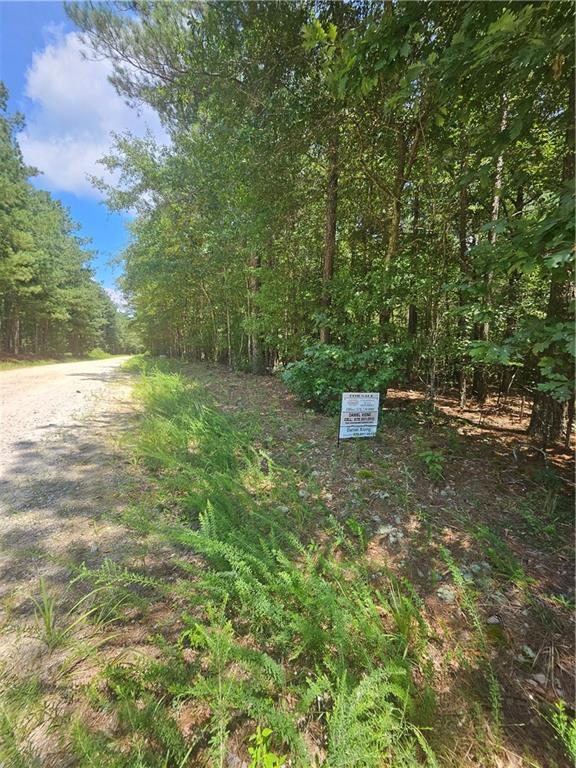 292 Mccannon Rd Tract 3 Rd., Carlton, GA 30627