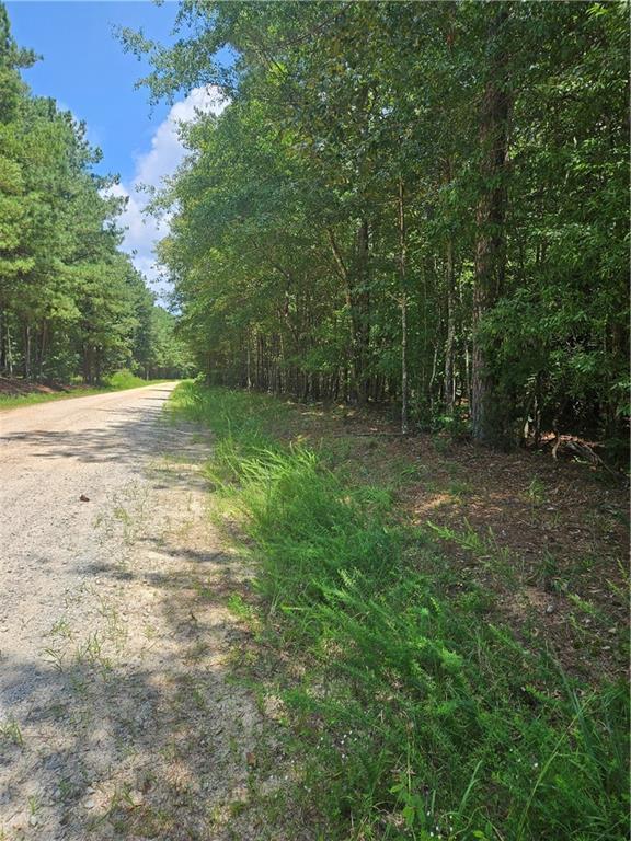 292 Mccannon Tract 3a, Carlton, GA 30627