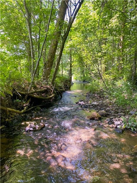 Highway 19, Dahlonega, GA 30533