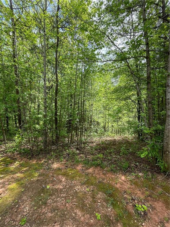 205 White Birch Dr., Covington, GA 30016