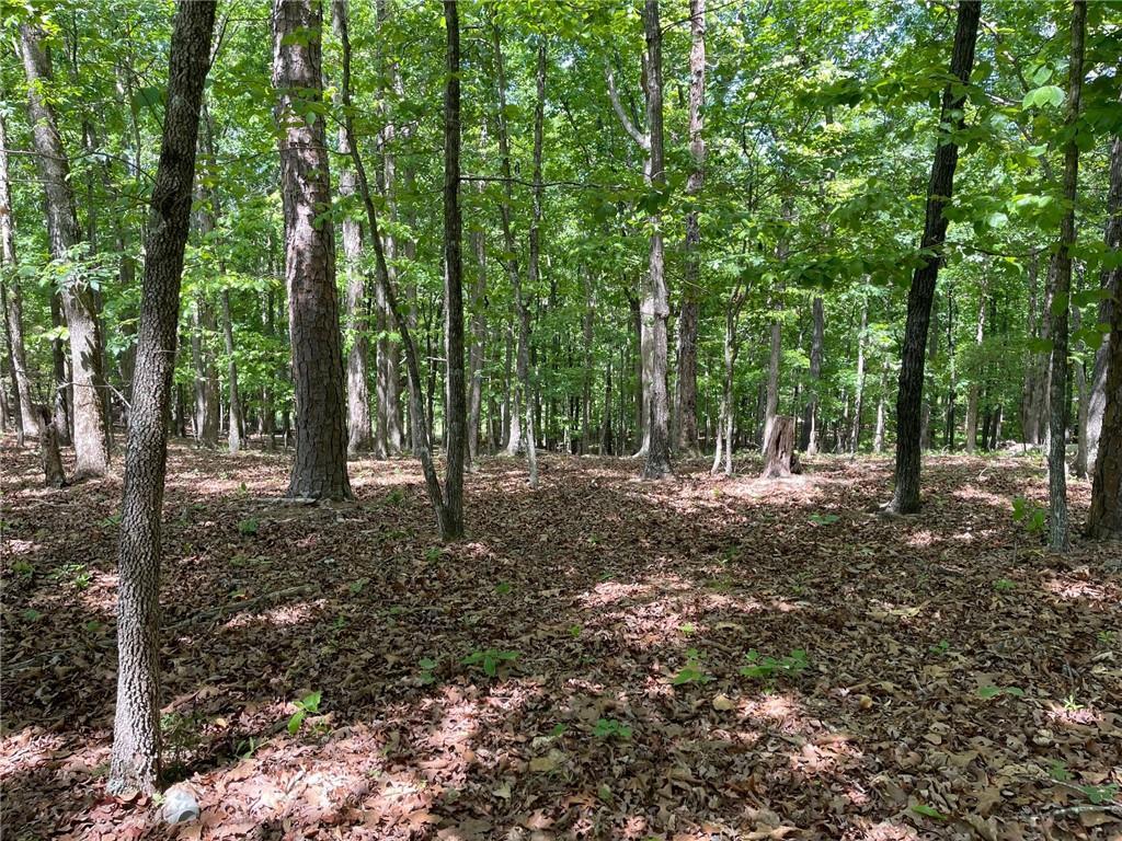 TR 1A Chalcrest Way, Cave Spring, GA 30124