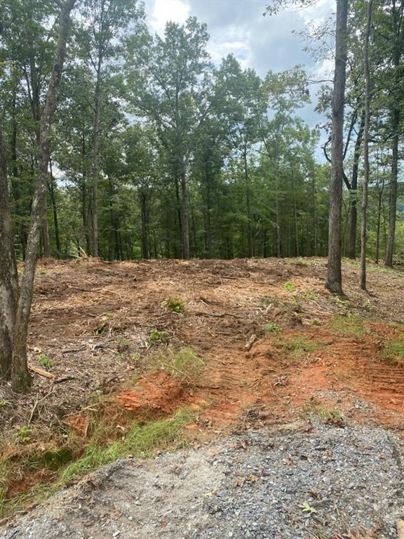 LOT 56 Ridge Line Tr., Ellijay, GA 30540