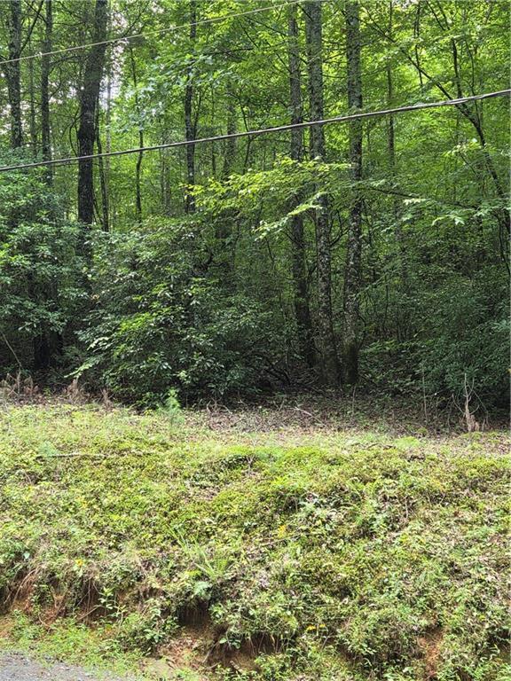 00 Chopped Oak Rd., Ellijay, GA 30540