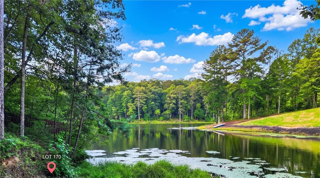 Overlook Way, Ellijay, GA 30540