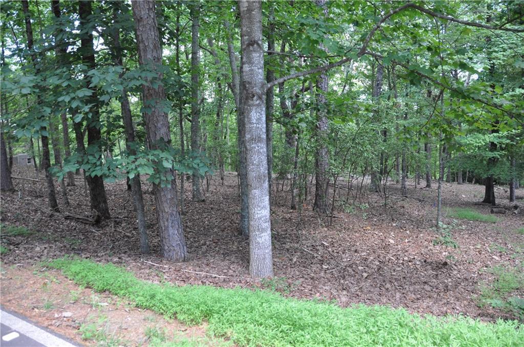 2468 Wedgewood Dr., Big Canoe, GA 30143