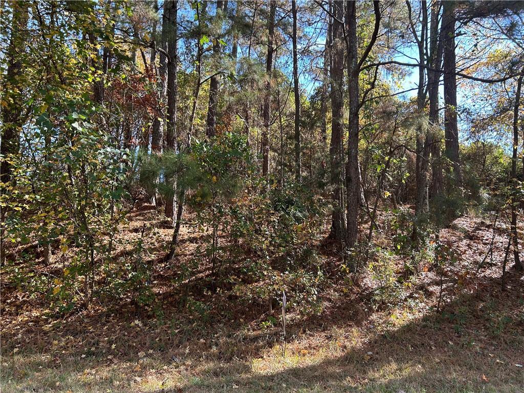 2090 Lee Peters Rd., Loganville, GA 30052