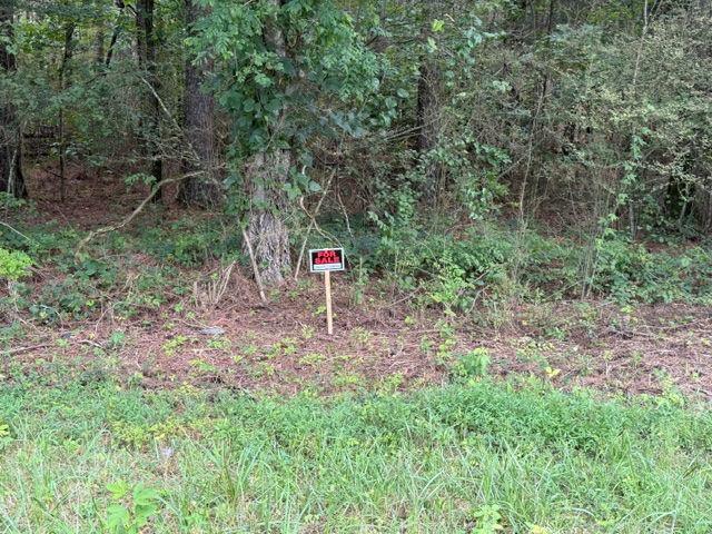 Iron Hill Road Lot 4, Taylorsville, GA 30178