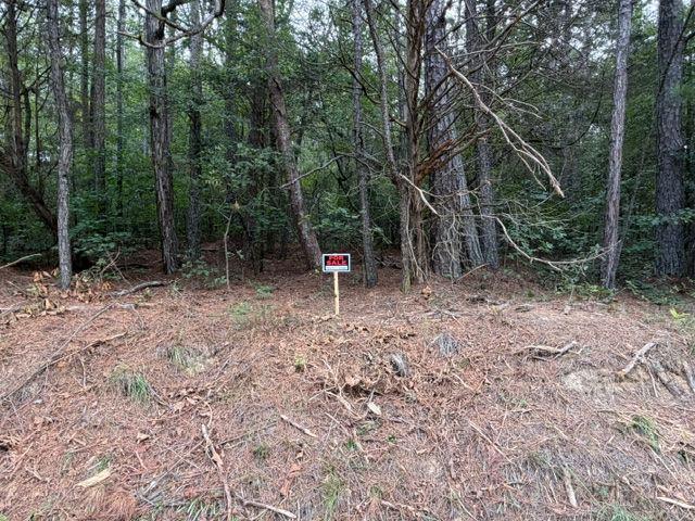 Iron Hill Road Lot 2, Taylorsville, GA 30178