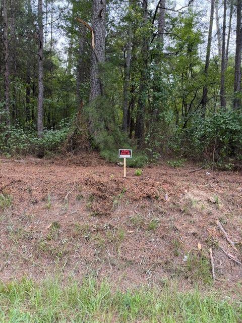 Iron Hill Road Lot 3, Taylorsville, GA 30178