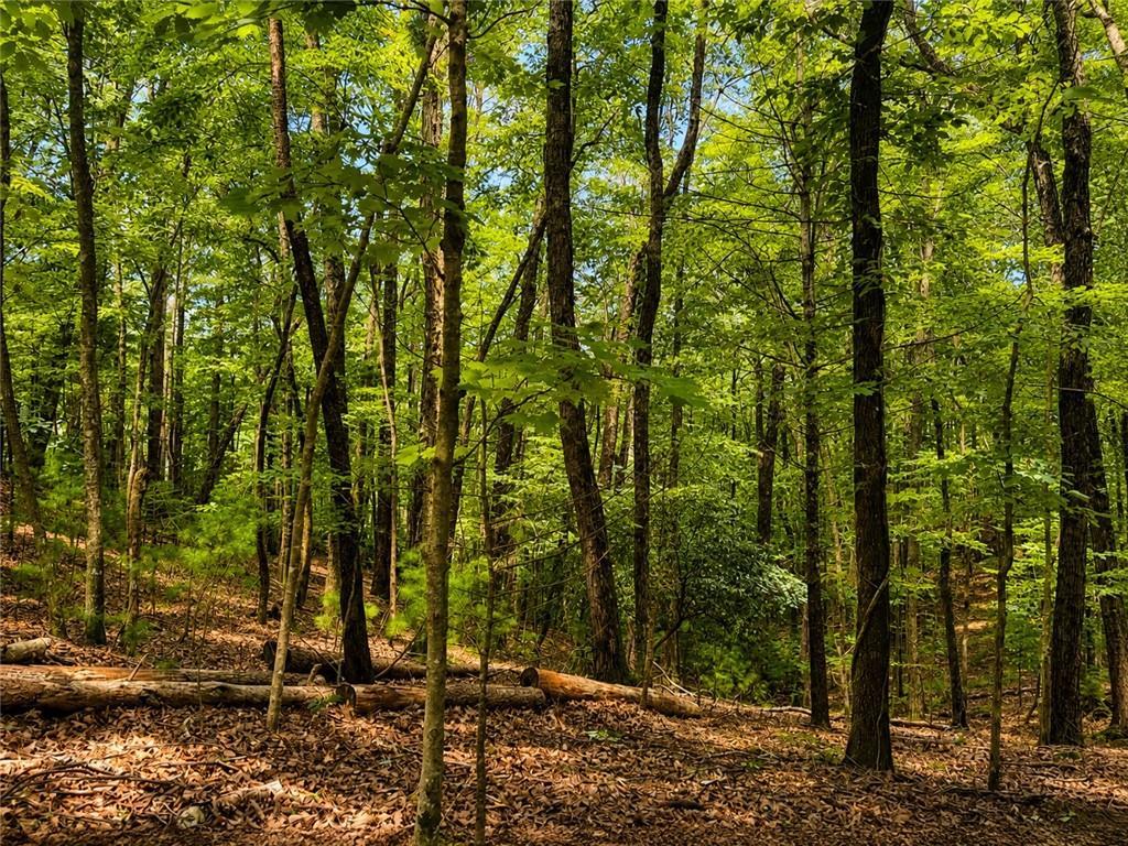 J208 Pine Ridge Rd., Ellijay, GA 30536