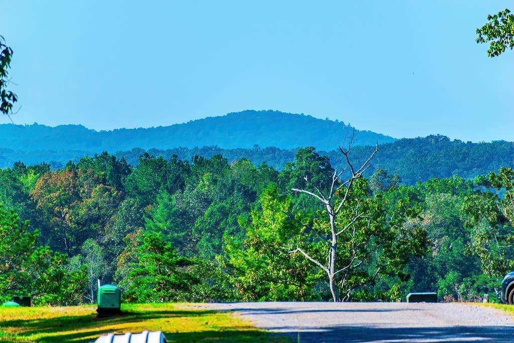 LOT 50 Jakes Landing Way, Ellijay, GA 30540