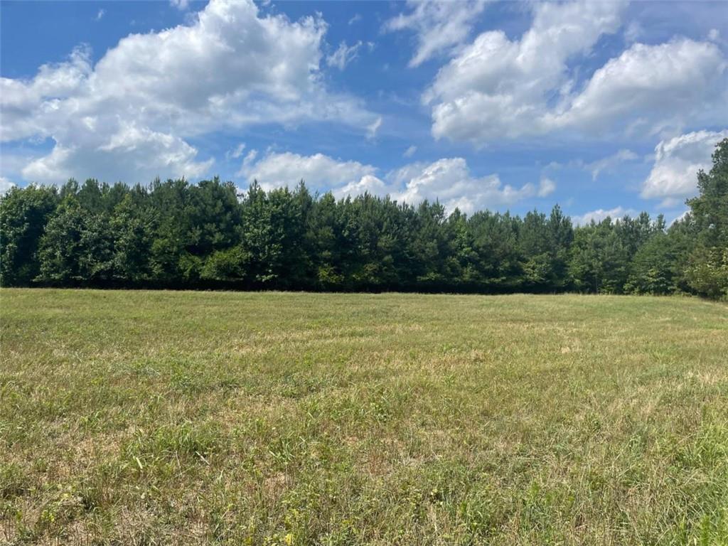 Cannon Rd., Sharpsburg, GA 30277