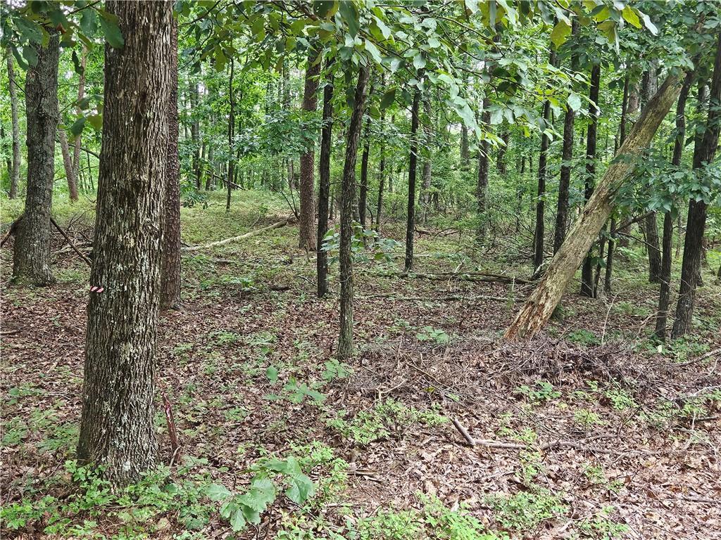 1467 Hanna Dr., Ranger, GA 30734