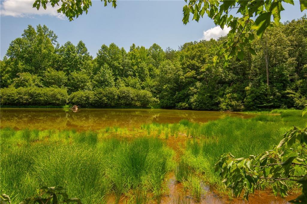 LOT A Porter Springs Road, Dahlonega, GA 30533