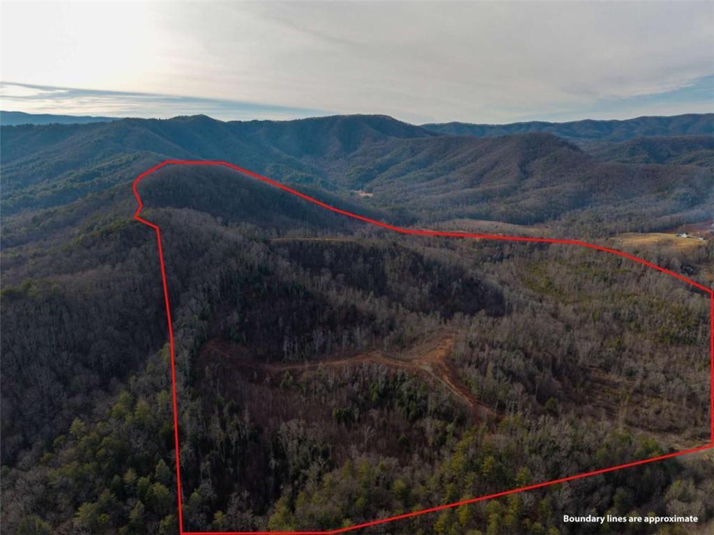 156+ Higdon Creek Rd., Blue Ridge, GA 30513