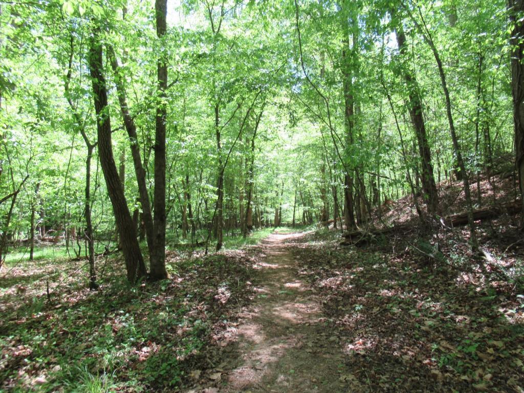 Chestatee Dr., Dahlonega, GA 30533