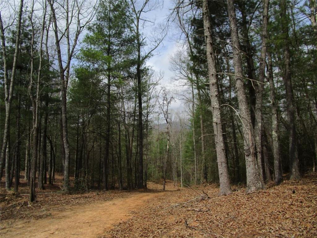 East New Hope Rd., Ellijay, GA 30536