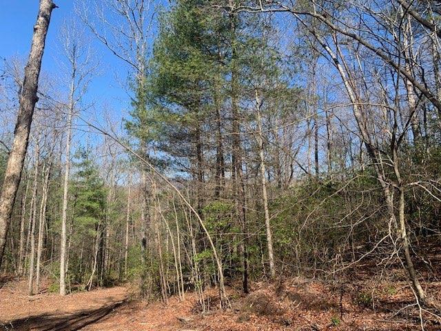 East New Hope Rd., Ellijay, GA 30536