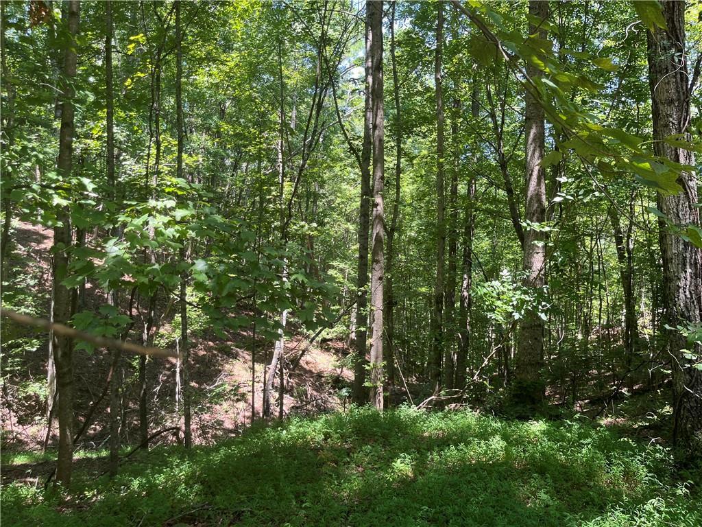 S Twin Oaks Dr., Ellijay, GA 30540