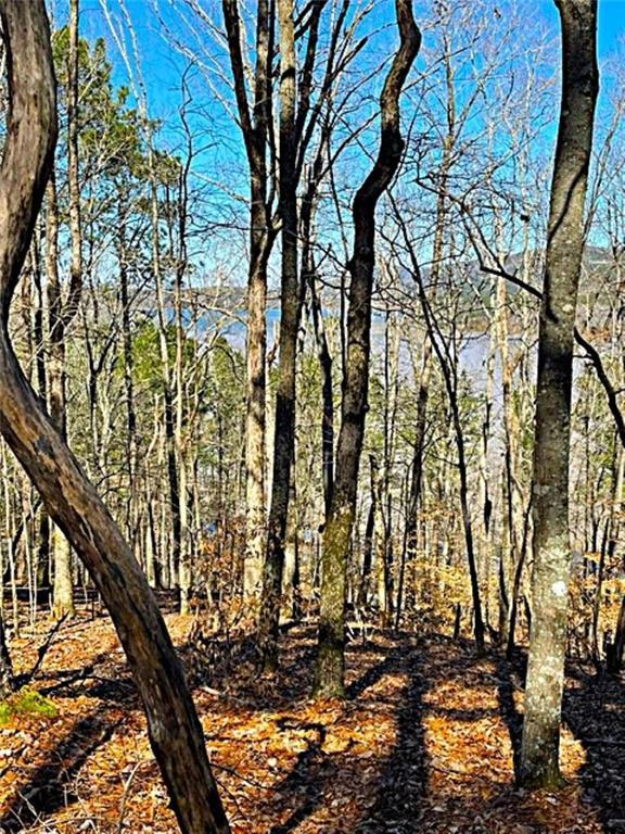 Overlook Dr., Chatsworth, GA 30705