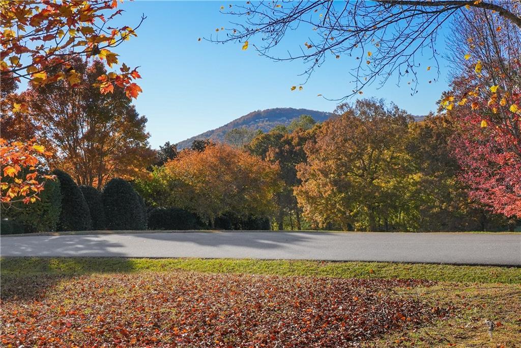 Rome Beauty Lane, Lot 4, Clarkesville, GA 30523