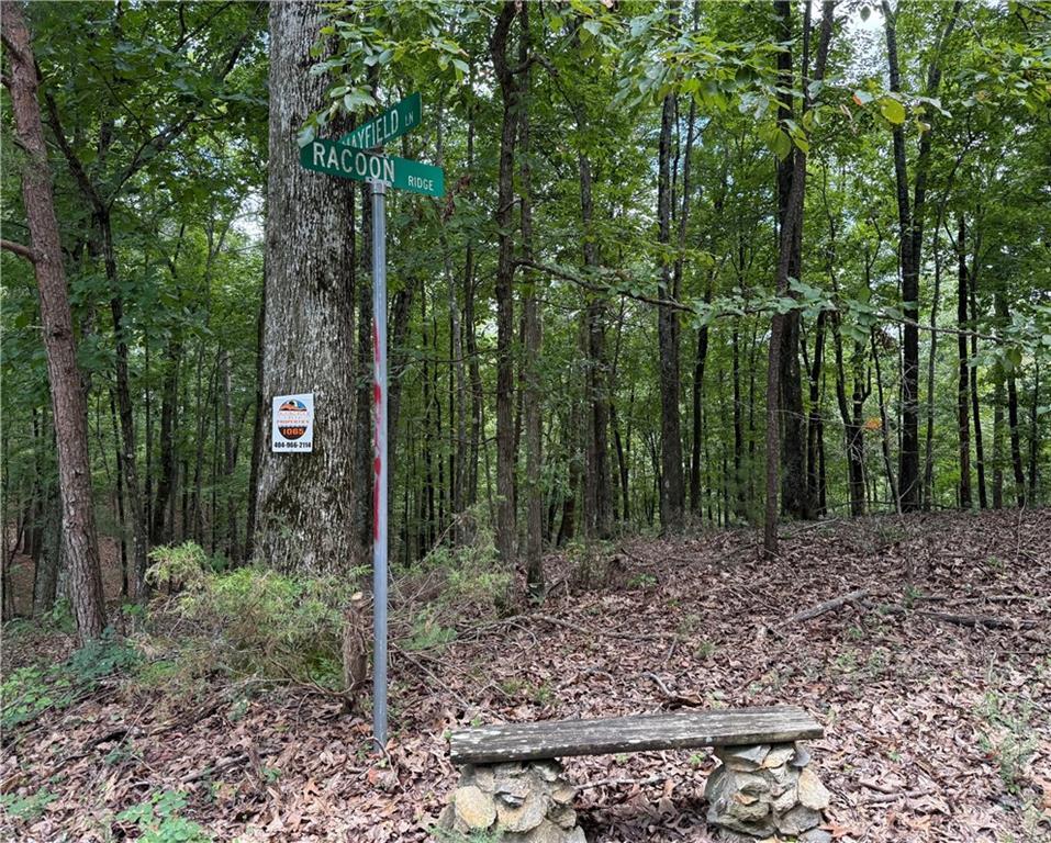 LOT 10 Mayfield Ln., Ranger, GA 30734