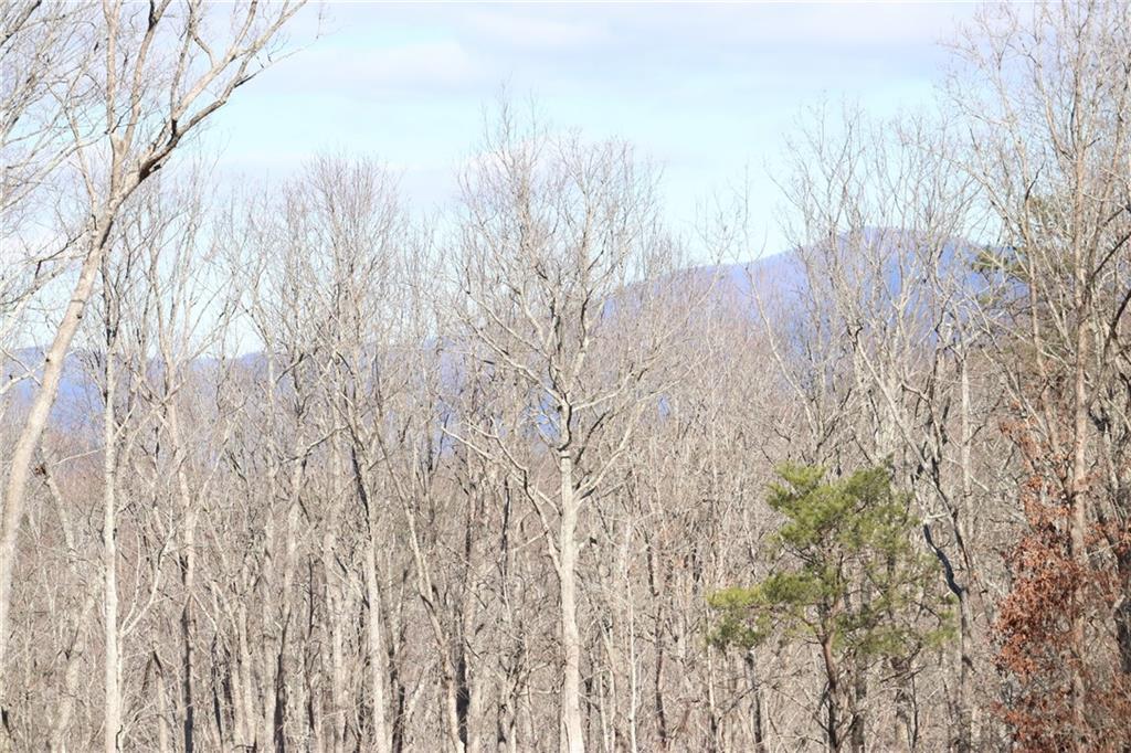 179 Trailwood Dr., Ellijay, GA 30536