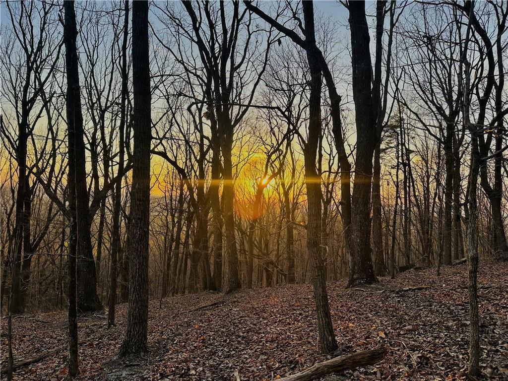 Lot 1 Mount Mincie Rd., Murrayville, GA 30564