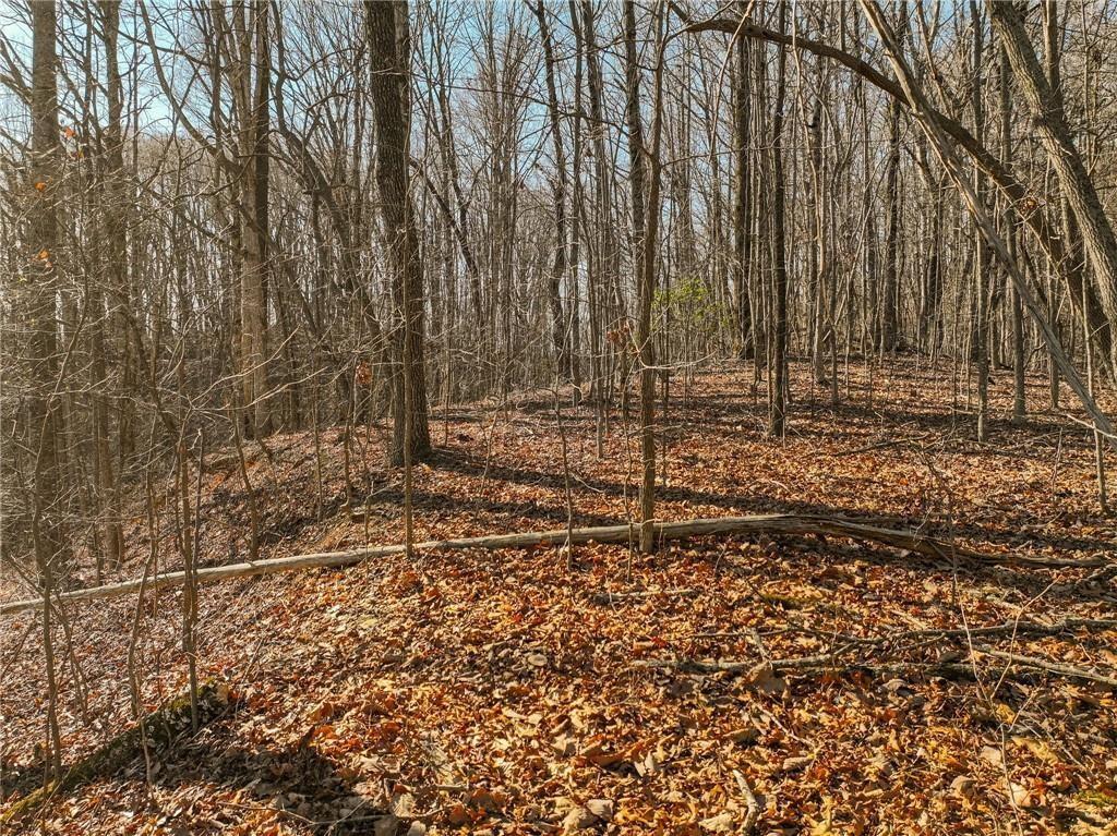 Lot 5 Mount Mincie Rd., Murrayville, GA 30564