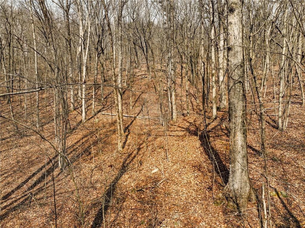 Lot 6 Mount Mincie Rd., Murrayville, GA 30564