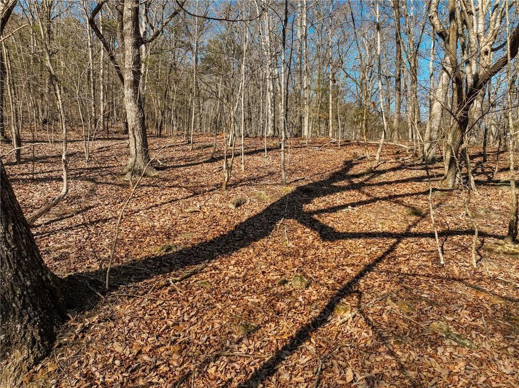 Lot 8 Mount Mincie Rd., Murrayville, GA 30564
