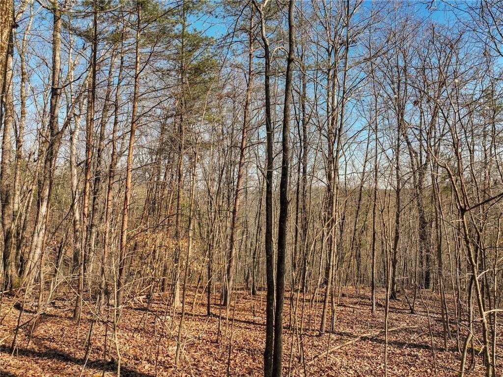 Lot 9 Mount Mincie Rd., Murrayville, GA 30564