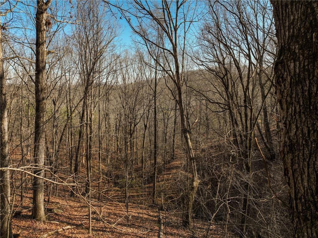 Lot 10 Mount Mincie Rd., Murrayville, GA 30564
