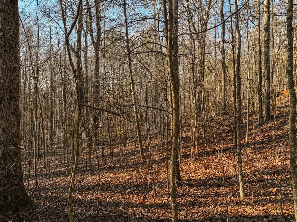 Lot 12 Mount Mincie Rd., Murrayville, GA 30564