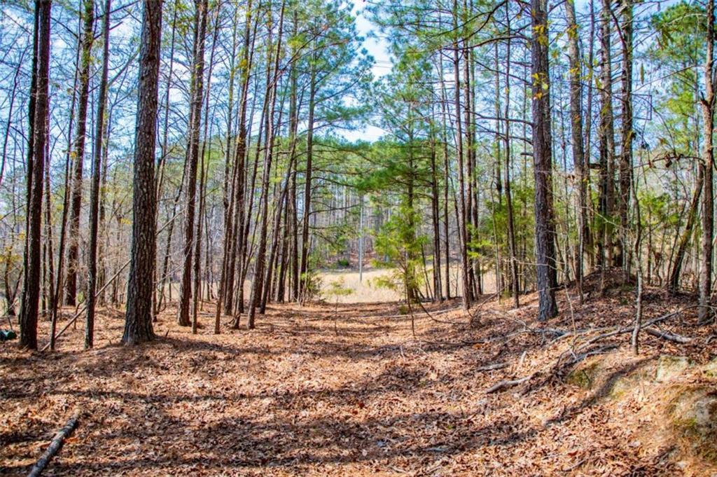 3940 Clinton Ct., Villa Rica, GA 30180