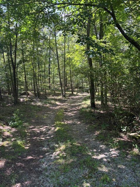 3960 Clinton Ct., Villa Rica, GA 30180